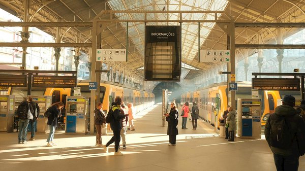 Quelle whey choisir : les critères décisifs pour optimiser vos résultats ?